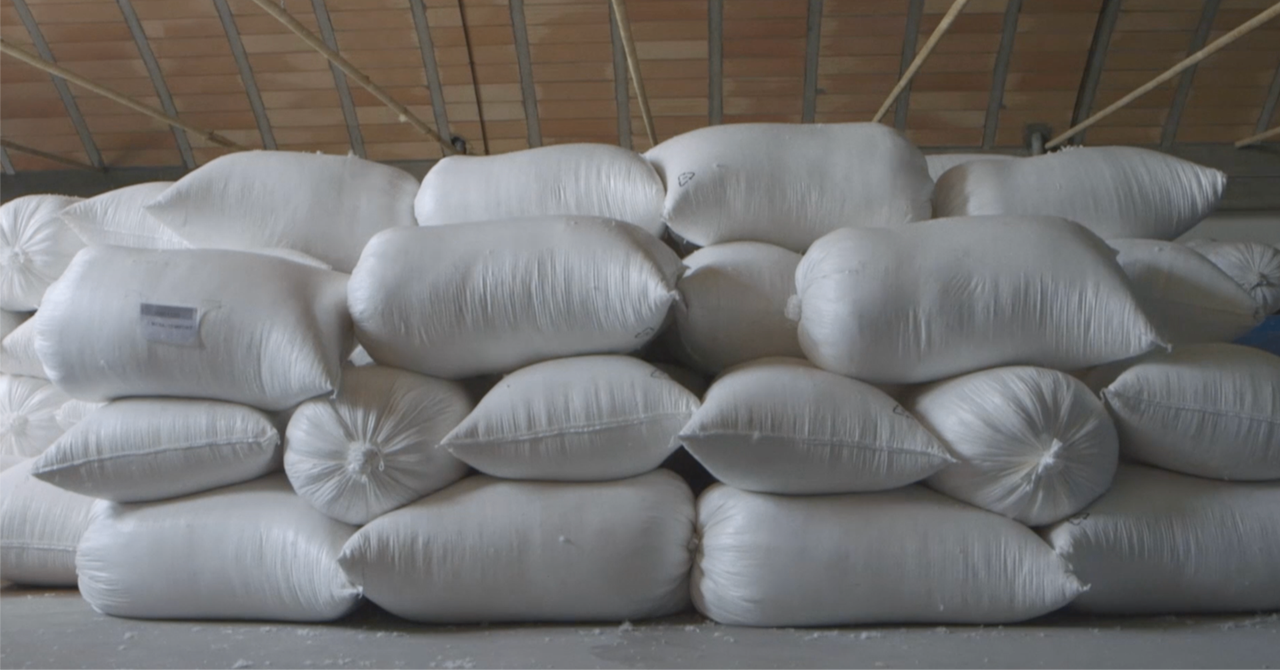 フラワーダウン ～羽毛の中の宝石～