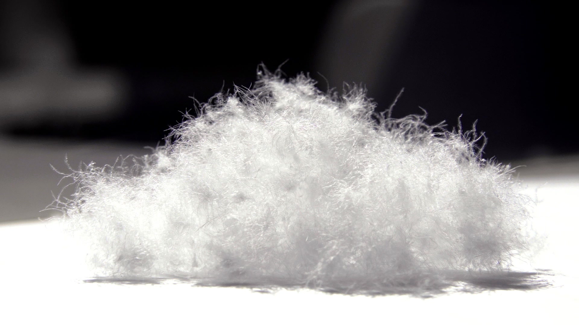 厳選されたダウンボール