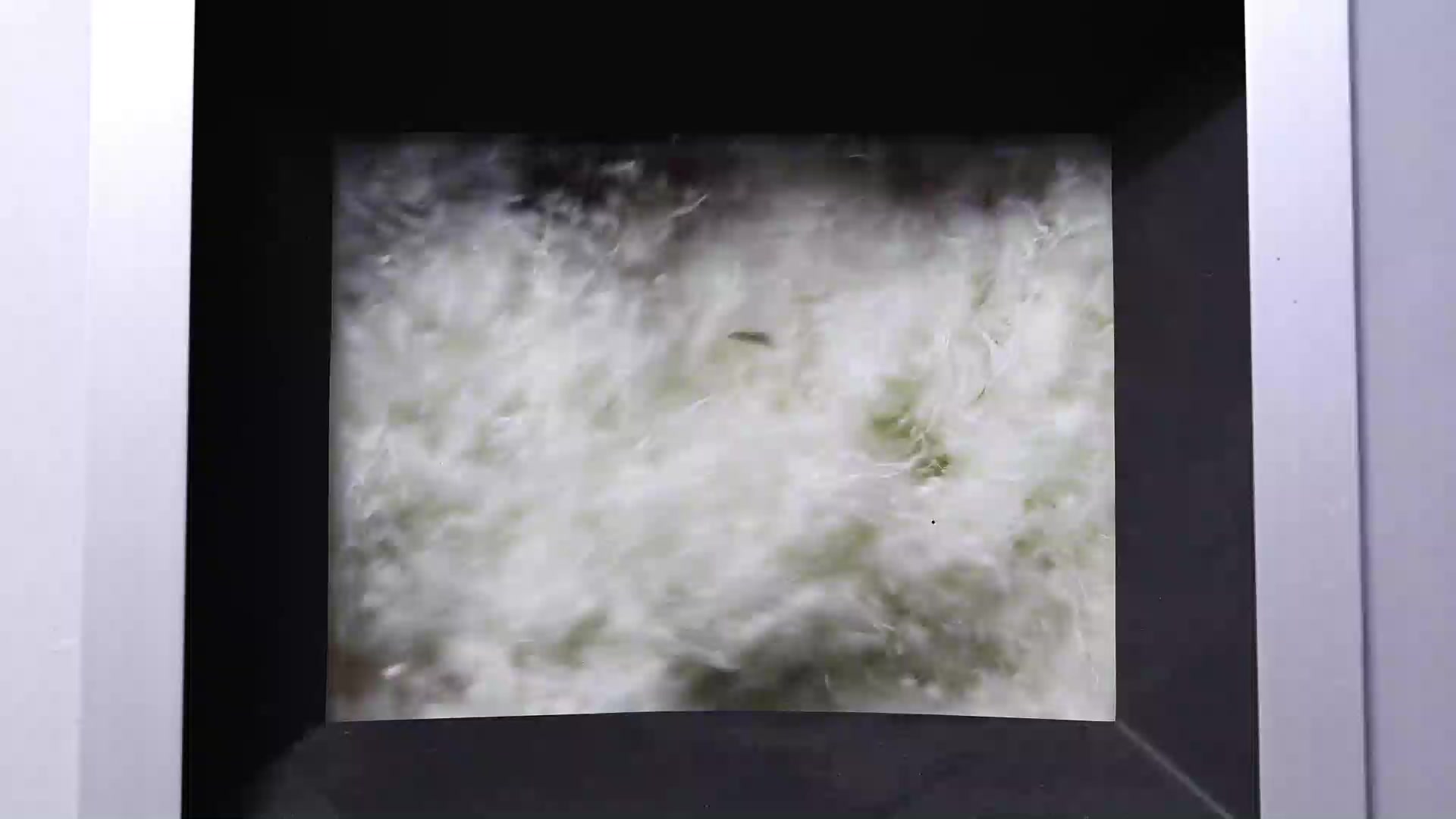 洗浄後の乾燥工程